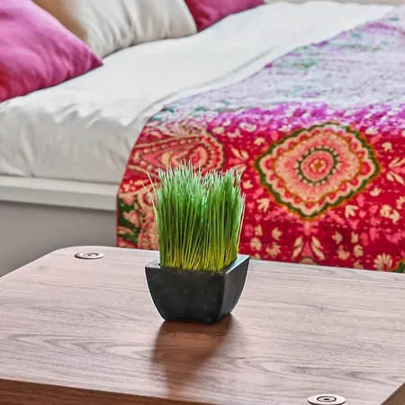 Sweett - Maison Blanche Apartman Juan-les-Pins