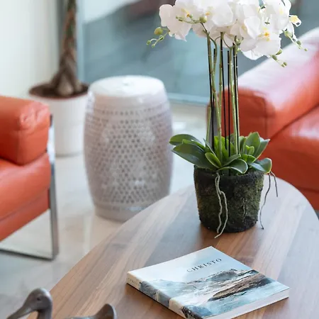 Appartement Sweet - Maison Blanche